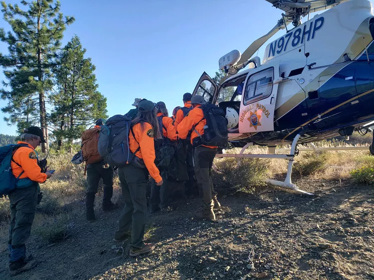 Hero Dog Leads Rescuers to His Injured Owner After Man's 70-Foot Fall from a Tahoe Forest Ridge