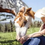 Actress Amber Marshall wearing a cowboy hat sits in a grassy field gently touching the nose of a brown and white paint horse on the set of the television show Heartland.