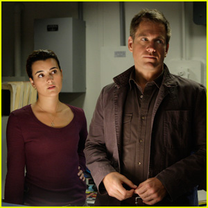 ncis tiva-spinoff-social